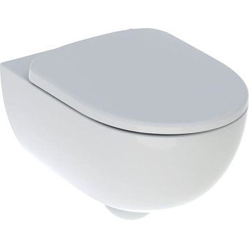 Унитаз подвесной Geberit Selnova Rimfree 500.694.01.2+500.333.01.1 с сиденьем Duroplast Soft Close 826379 фото