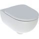 Унитаз подвесной Geberit Selnova Rimfree 500.694.01.2+500.333.01.1 с сиденьем Duroplast Soft Close 826379 фото 1