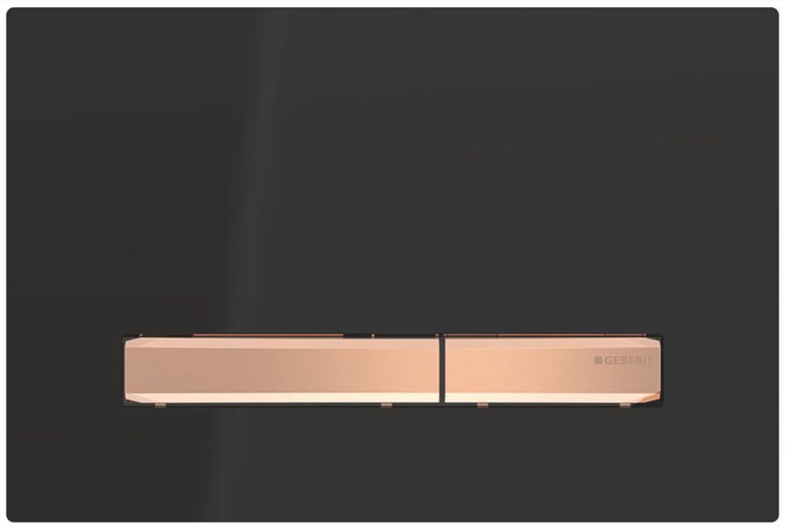Инсталляция для унитаза Geberit Duofix Sigma 111.300.00.5 4в1 (клавиша Sigma 50 чёрный/красное золото) 692932 фото