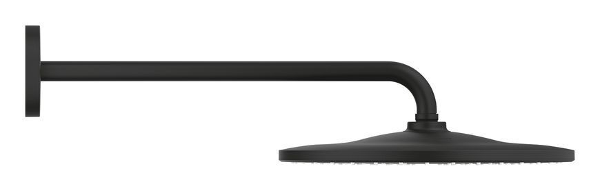 Верхний душ Grohe Rainshower 310 Mono 22121KF0 с держателем (фантомный чёрный) 711832 фото