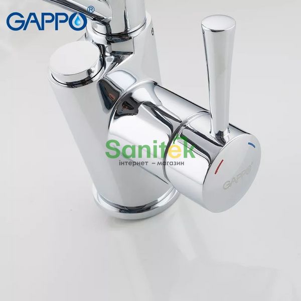 Смеситель для кухни Gappo G4398-11 с душем и подключением питьевой воды (хром/чёрный) 927244 фото