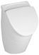 Пісуар Villeroy&Boch O.Novo 75570101з отворами для кришки 158339 фото 3