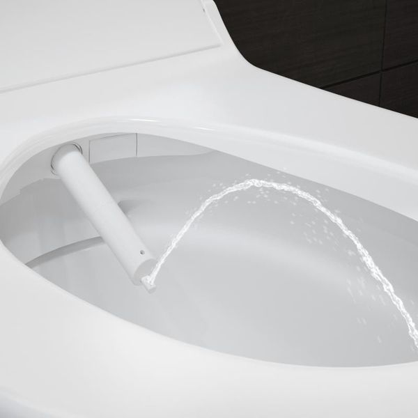 Унітаз підвісний Geberit AquaClean Tuma Comfort 146.294.SI.1 Rimfree з кришкою - біде (біле скло) 236099 фото