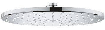 Верхний душ Grohe Rainshower 310 Mono 26562000 (хром) 354717 фото