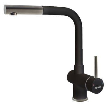 Смеситель для кухни Fabiano FKM 46P S/Steel Antracit с душем (Antracit/нержавеющая сталь) 149576 фото