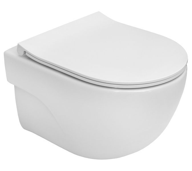 Унитаз подвесной Roca Meridian Rimless A346244000 370299 фото