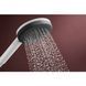 Душевая лейка Hansgrohe Raindance Alive Select S 3jet 24500700 (3 режима) белый матовый 987100 фото 5