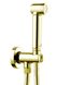 Гігієнічний душовий набір Bossini Alexa-Brass C69004B00021015 (золото) 94538 фото 1