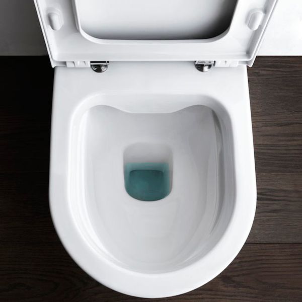 Унитаз напольный Laufen Pro Rimless (H8229560000001) 164241 фото