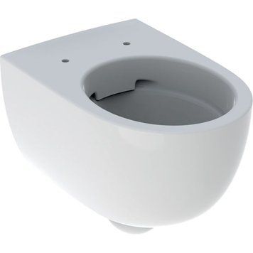 Унитаз подвесной Geberit Selnova Rimfree 500.694.01.2 425449 фото