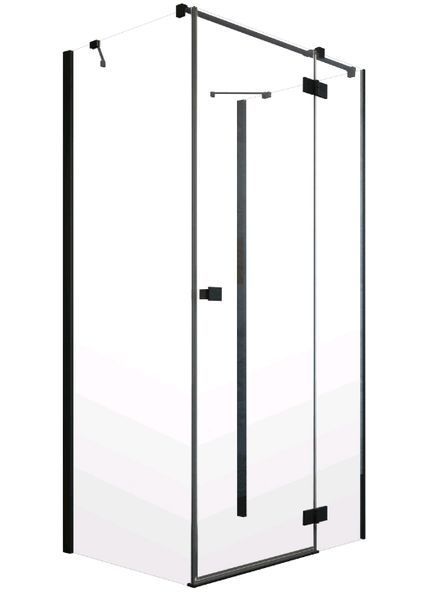 Боковая стенка Radaway Essenza New Black S1 120 (384054-54-01) чёрный профиль/стекло прозрачное 279341 фото