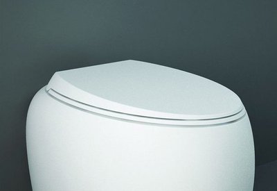 Сидіння для унітазу RAK Ceramics Cloud Slim CLOSC3901500 Soft Close (білий матовий) 323711 фото
