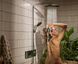 Душова система Hansgrohe Raindance Alive S 300 1jet EcoSmart ShowerSelect Comfort 24583000 з термостатом (хром) 987185 фото 3