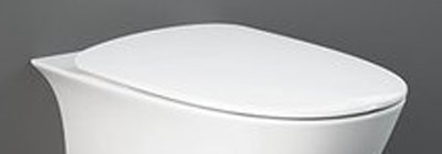 Сидіння для унітазу RAK Ceramics Sensation SENSC3901WH Soft-Close 311542 фото