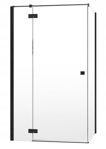 Боковая стенка Radaway Essenza New Black S1 110 (384053-54-01) чёрный профиль/стекло прозрачное 279342 фото