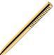 Душевая лейка Hansgrohe Pulsify S 100 1jet EcoSmart+ 24126990 (Polished Gold Optic) 972263 фото 1
