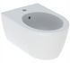 Биде подвесное Geberit iCon 501.898.JT.1 (белый матовый) 545242 фото 1