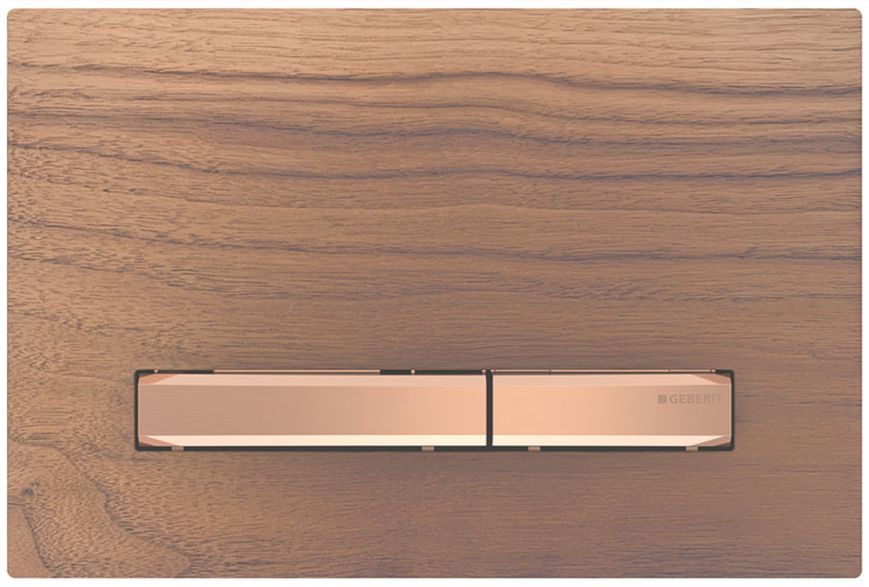 Инсталляция для унитаза Geberit Duofix Sigma 111.300.00.5 4в1 (клавиша Sigma 50 чёрный орех/красное золото) 692935 фото