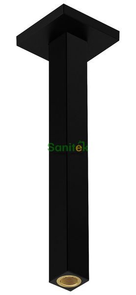 Держатель верхнего душа Hansgrohe E 24339670 потолочный 300 мм (чёрный матовый) 694297 фото