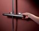 Душевая система Hansgrohe Raindance Alive S Puro 300 1jet з Ecostat Element 24592000 с термостатом (хром) 987202 фото 3