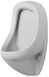 Писсуар Duravit Ben 0848370007 с мушкой 157439 фото 1
