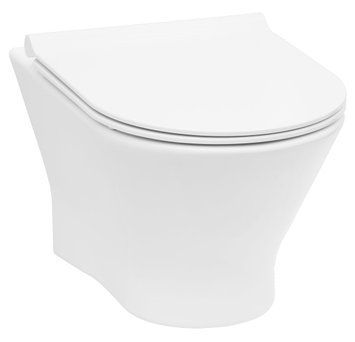 Унітаз підвісний Roca Nexo Clean Rim A34H64L000 з сидінням Soft Close 128617 фото
