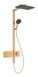 Душова система Hansgrohe Raindance Alive Q 340/210 1jet ShowerSelect Comfort 24580140 із термостатом (бронза матова) 987226 фото 1