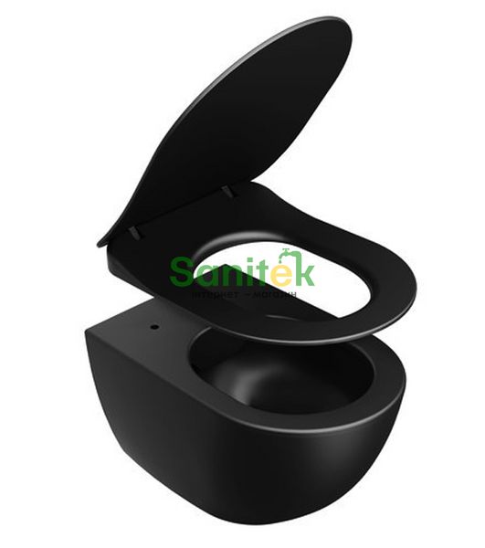 Сиденье для унитаза Ravak Uni Chrome Flat X01795 Soft Close (черный мат) 571294 фото