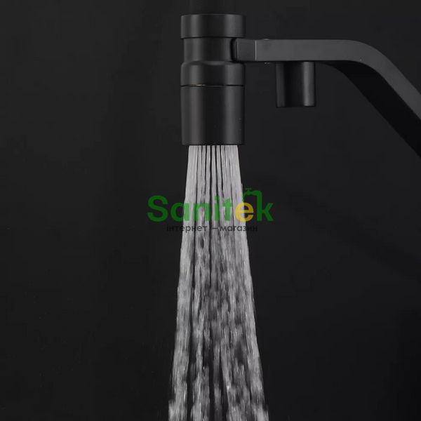 Смеситель для кухни Gappo G4395-66 с душем и подключением питьевой воды (чёрный матовый) 927240 фото