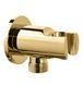Підключення для душового шлангу Fiore 35PMSOO1 з тримачем (золото) 239608 фото 1
